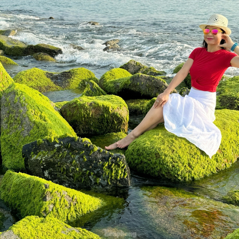 Những Ai Thường Đến Bãi Rêu Xóm Rớ Để Làm Gì?