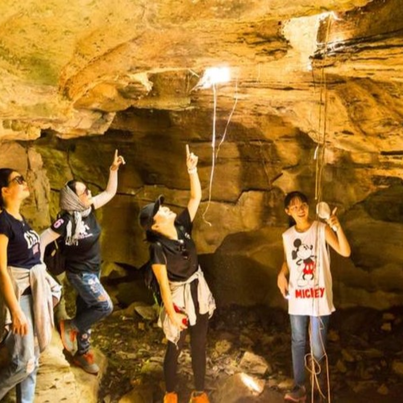 Những Ai Thường Đến Hang Dơi Mộc Châu Để Làm Gì?