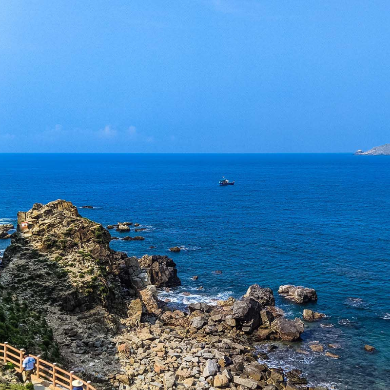 Những Ai Thường Đến Bãi Dại Để Làm Gì?