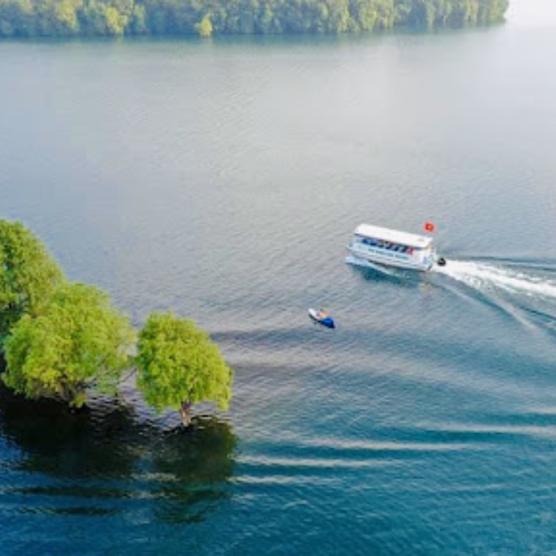 Những Ai Thường Đến Khu Du Lịch Hồ Phú Ninh Để Làm Gì?