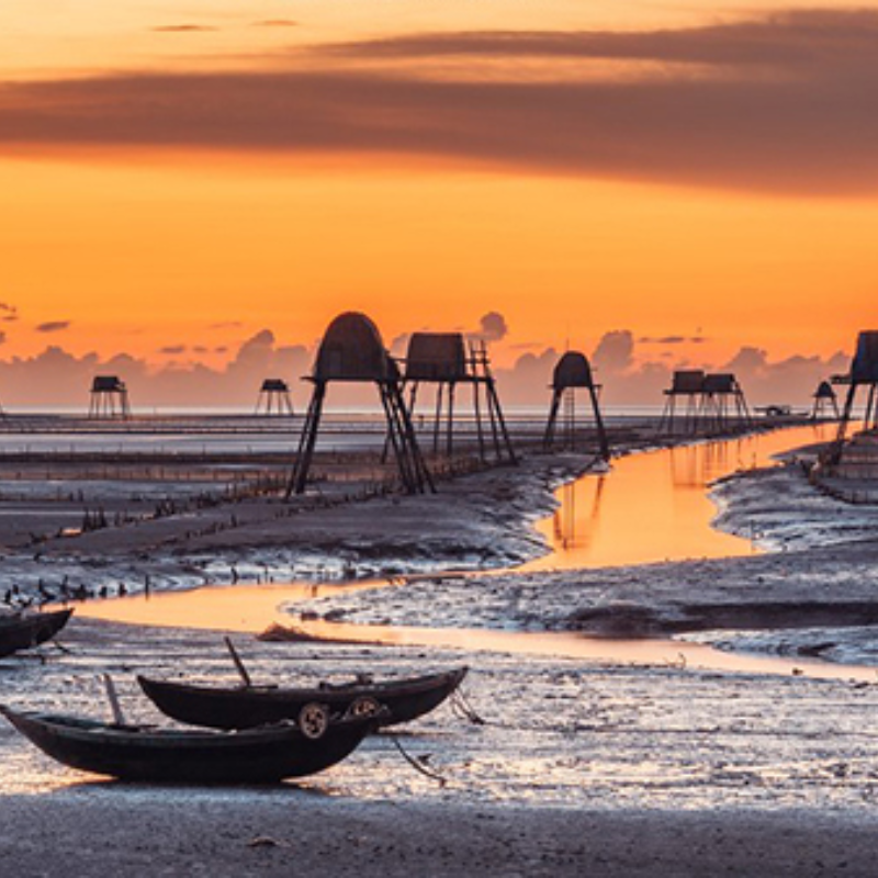 Những Ai Thường Đến Bãi Biển Đồng Châu Để Làm Gì?