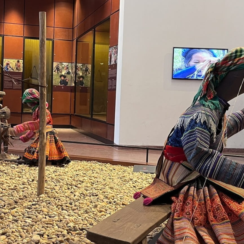 Ai Thường Đến Bảo Tàng Dân Tộc Học Việt Nam và Để Làm Gì?: Chân dung khách tham quan đa dạng