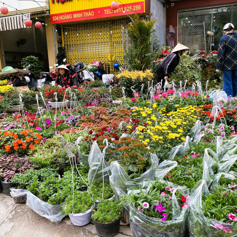 Những Ai Thường Đến Chợ Hàng Để Làm Gì?