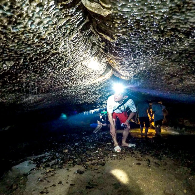 Ai Đến Hang Thẳm Phầy và Để Làm Gì?: Khám Phá Vẻ Đẹp Tiềm Ẩn