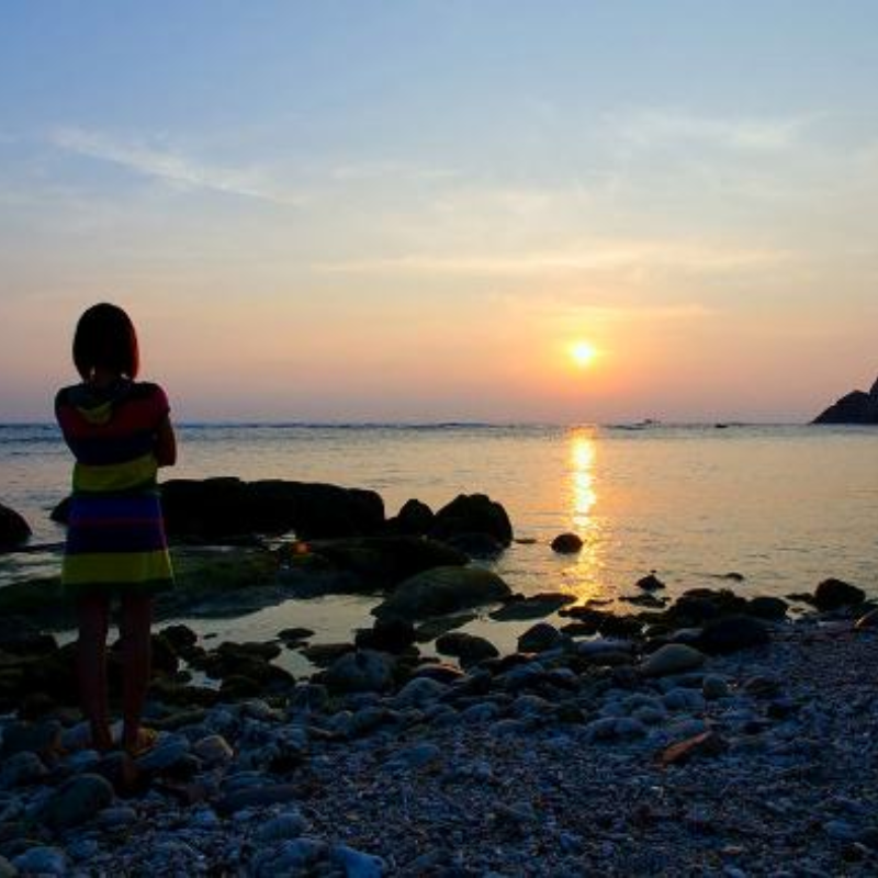 Những Ai Thường Đến Bãi Chướng Để Làm Gì?