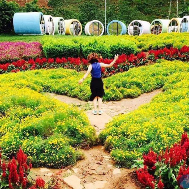 Những Ai Thường Đến Happy Land Mộc Châu Để Làm Gì?