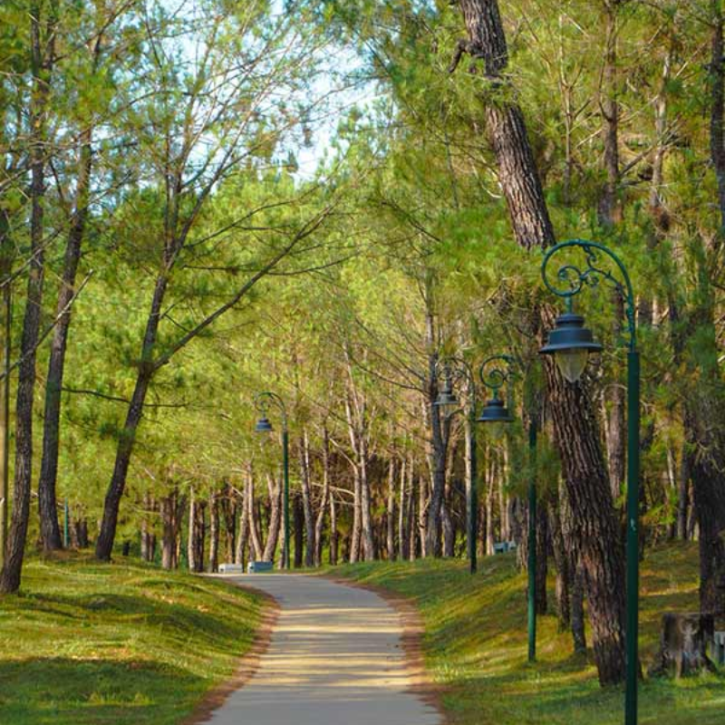 Những Ai Thường Đến Đồi Vọng Cảnh Để Làm Gì?