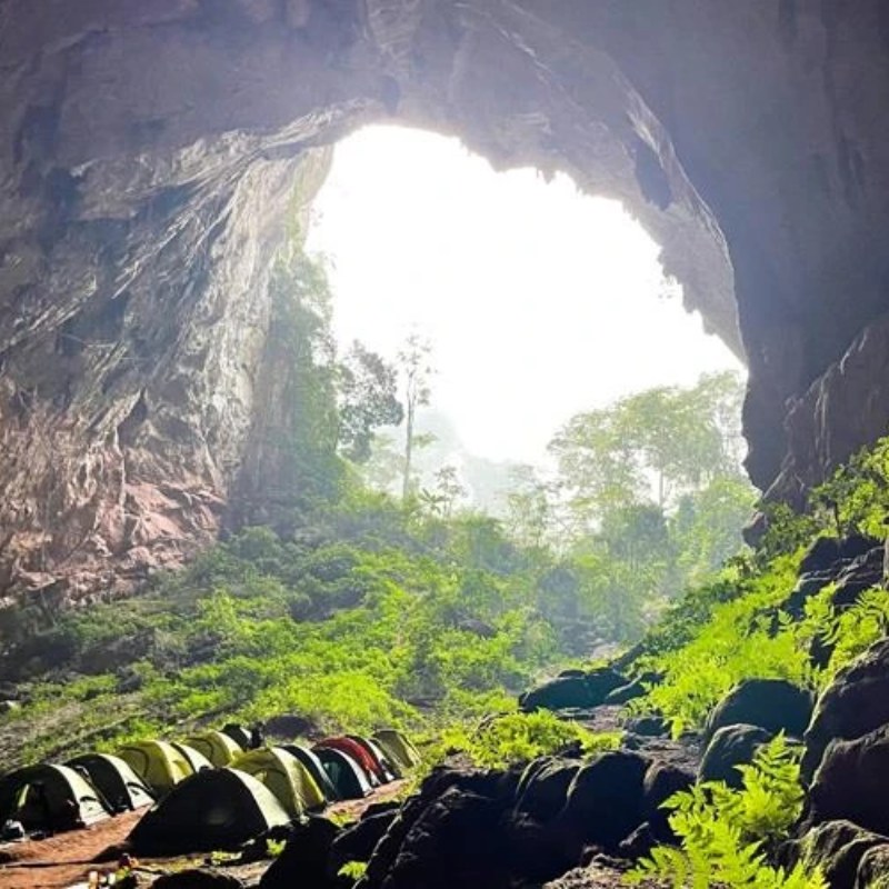 Những Ai Thường Đến Phong Nha- Kẻ Bàng Để Làm Gì?