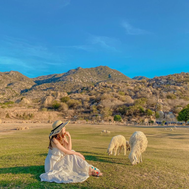 Những Ai Thường Đến Khu Du Lịch Dã Ngoại Tanyoli Để Làm Gì?