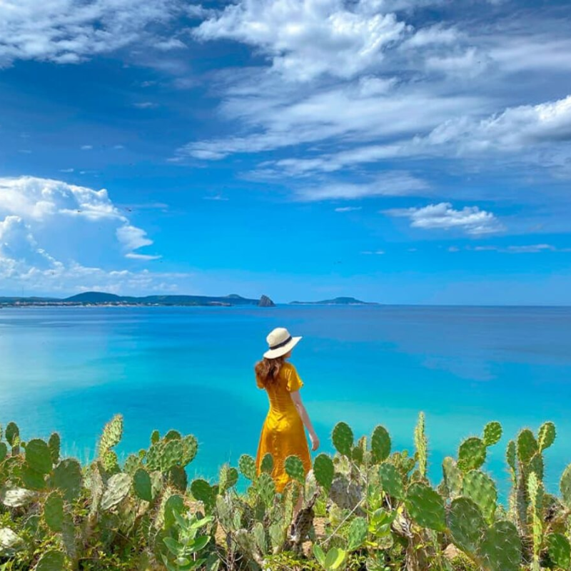 Những Ai Thường Đến Bãi Xép Phú Yên Để Làm Gì?