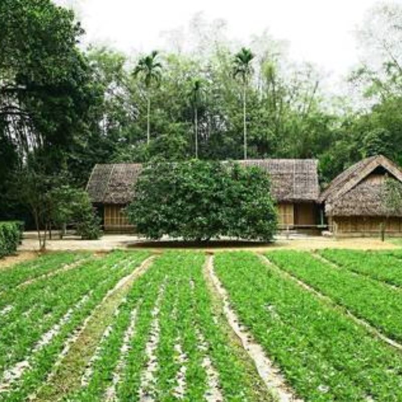 Những Ai Thường Đến Khu di tích lịch sử Kim Liên Để Làm Gì?