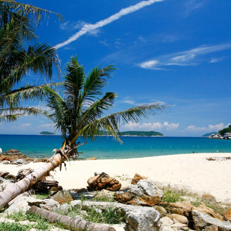 Những Ai Thường Đến Cù Lao Chàm Để Làm Gì?