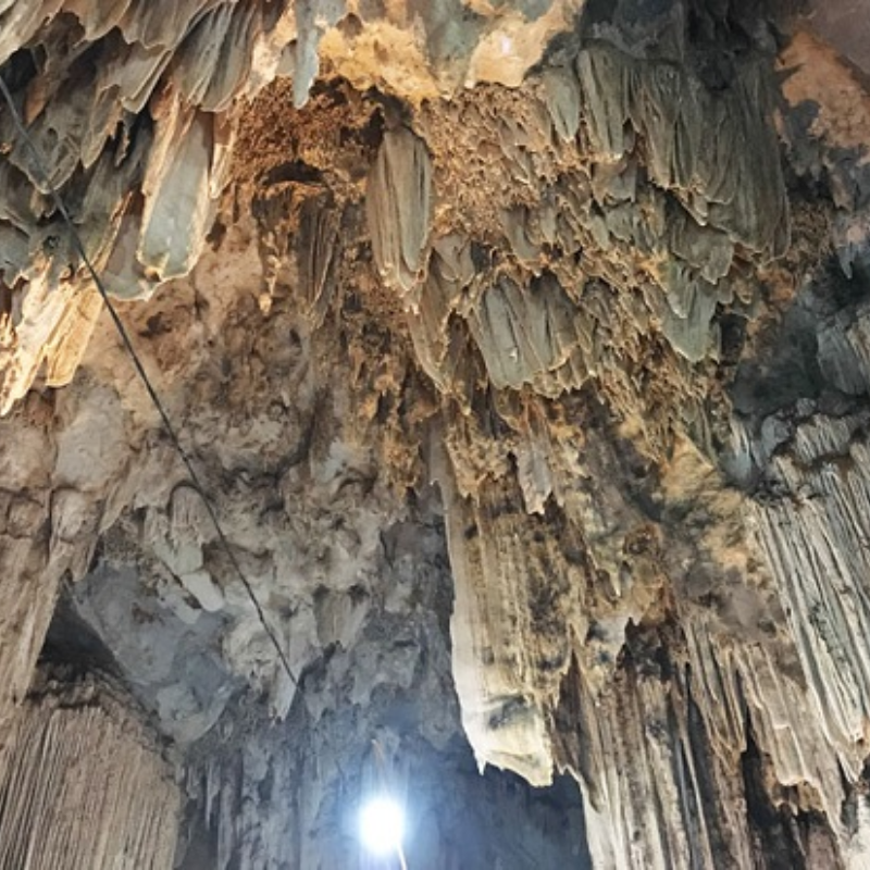 Những Ai Thường Đến Ngũ Động Bản Ôn Để Làm Gì?