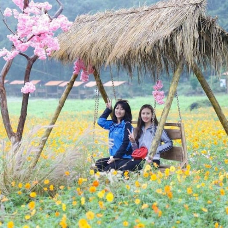 Những Ai Thường Đến Thung Lũng Hoa Bắc Sơn Để Làm Gì?