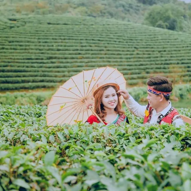 Những Ai Thường Đến Đồi chè Thanh Chương Để Làm Gì?