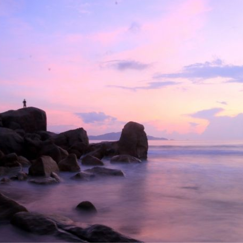 Những Ai Thường Đến Bãi Nước Ngọt Đảo Bình Hưng Để Làm Gì?