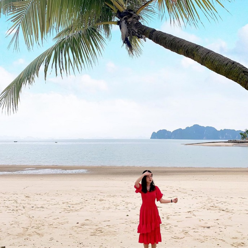 Những Ai Thường Đến Đảo Tuần Châu - Thiên Đường Cho Mọi Lứa Tuổi