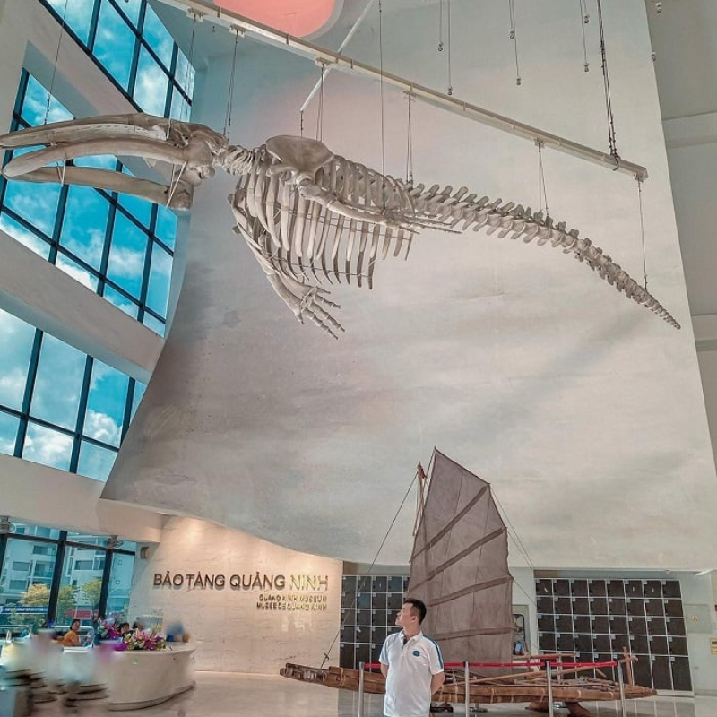 Những Ai Thường Đến Bảo Tàng Quảng Ninh Để Làm Gì?