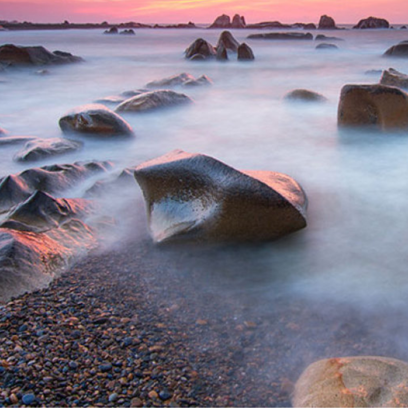 Những Ai Thường Đến Bãi Cổ Thạch Để Làm Gì?