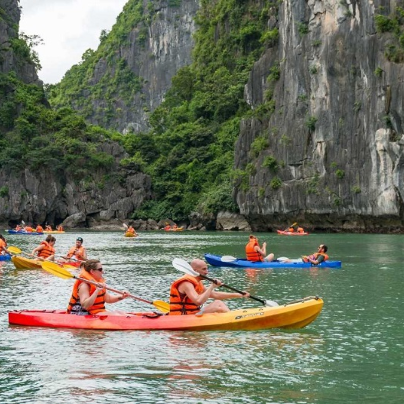 Những Ai Thường Đến Núi Voi Để Làm Gì?
