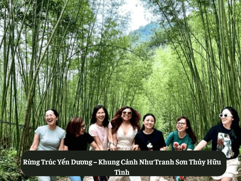 Rừng Trúc Yến Dương – Khung Cảnh Như Tranh Sơn Thủy Hữu Tình