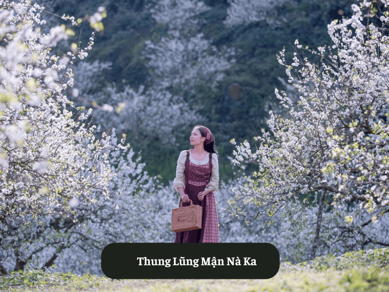 Thung Lũng Mận Nà Ka