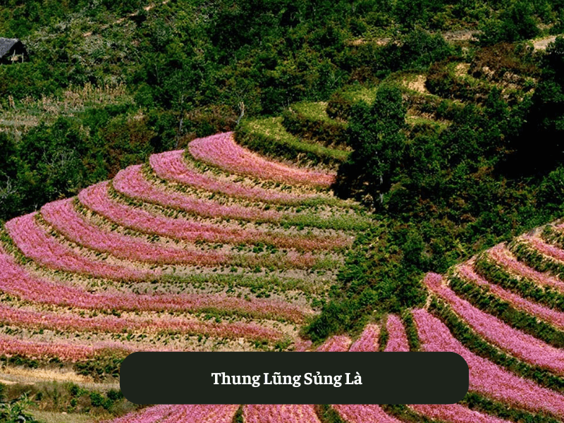 Thung Lũng Sủng Là