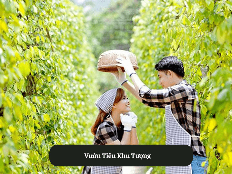 Vườn Tiêu Khu Tượng