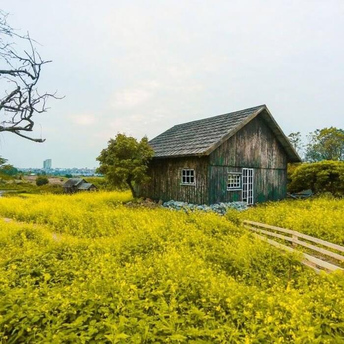 Traveling to Long Bien, Hanoi
