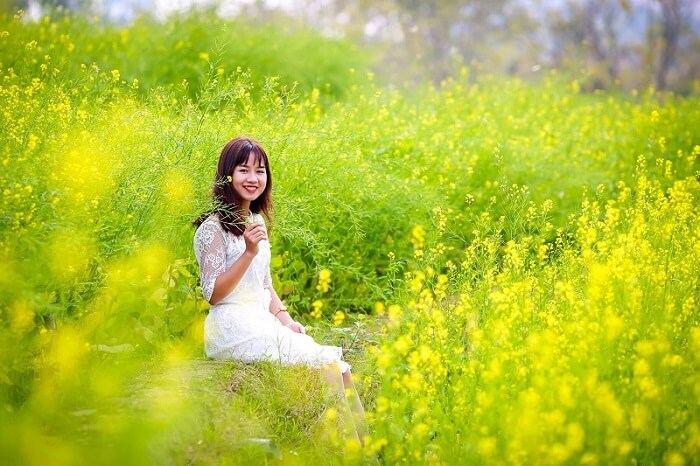 Du Lịch Đan Phượng, Hà Nội