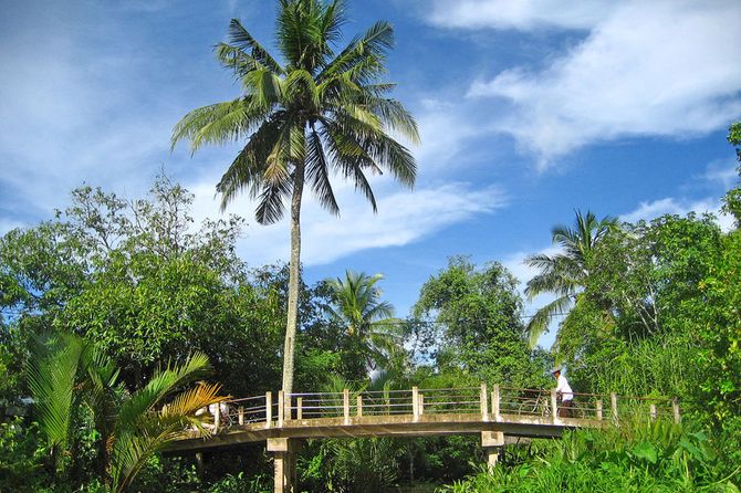 Tiền Giang: Khám Phá "Vương Quốc Trái Cây" Miệt Vườn Đồng Bằng Sông Cửu Long