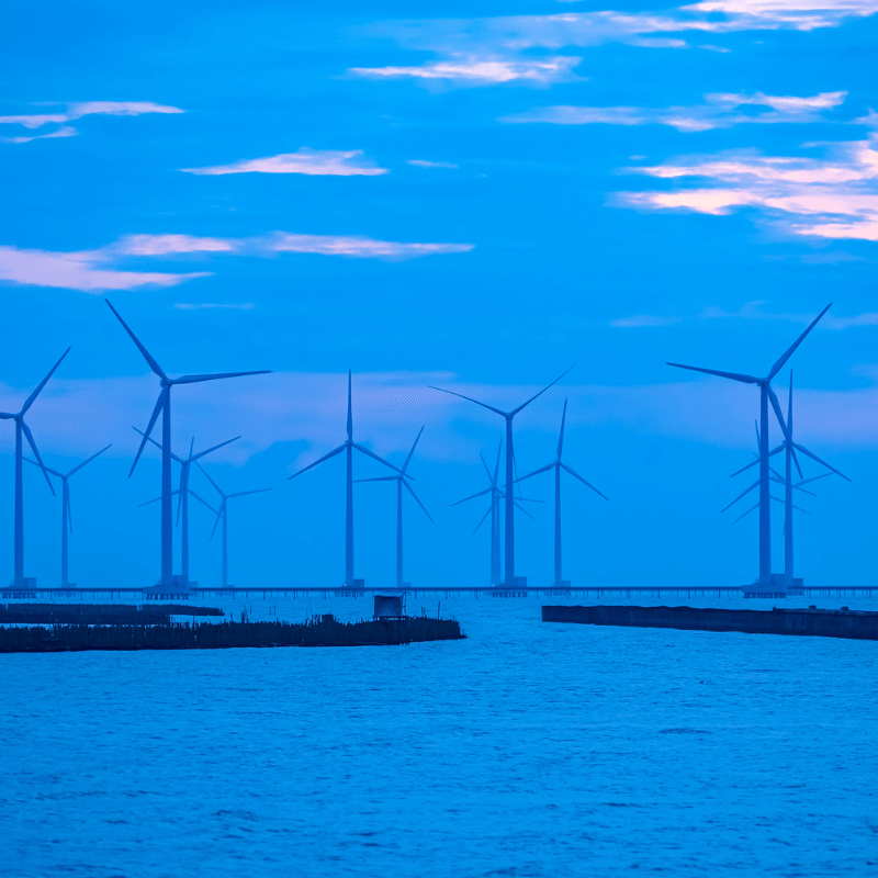 Bạc Liêu: Khám Phá "Xứ Sở Công Tử Bạc Liêu" Giữa Lòng Miền Tây Nam BộBạc Liêu: Khám Phá "Xứ Sở Công Tử Bạc Liêu" Giữa Lòng Miền Tây Nam Bộ