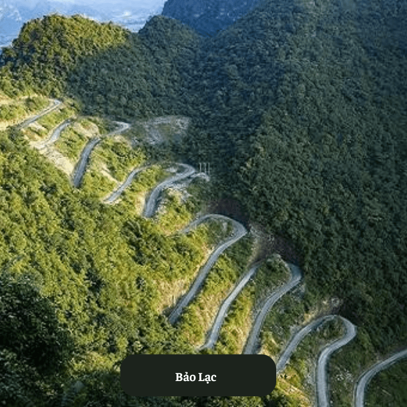 Bảo Lạc