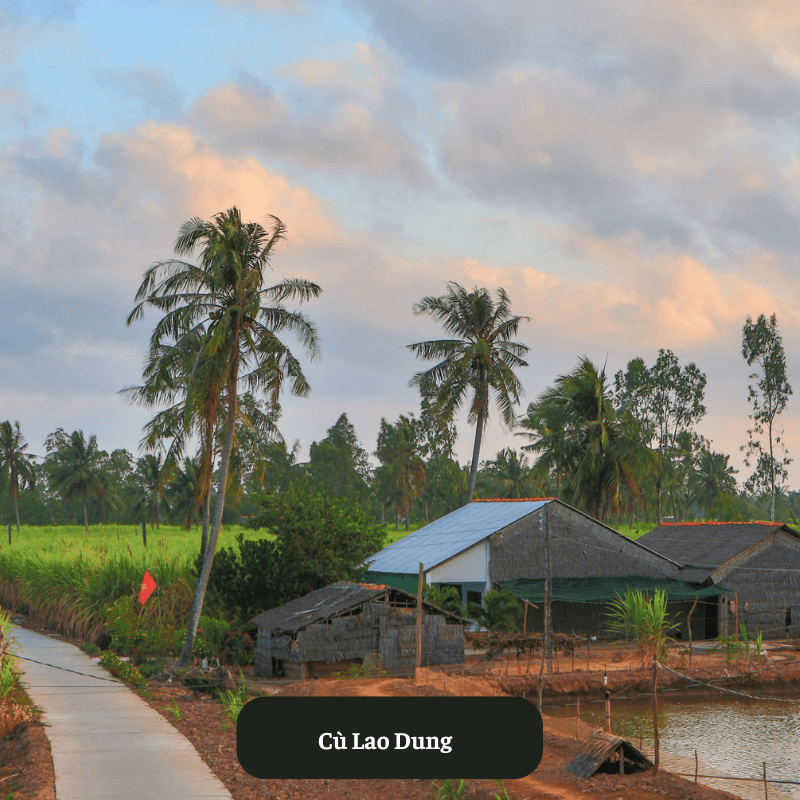 Cù Lao Dung