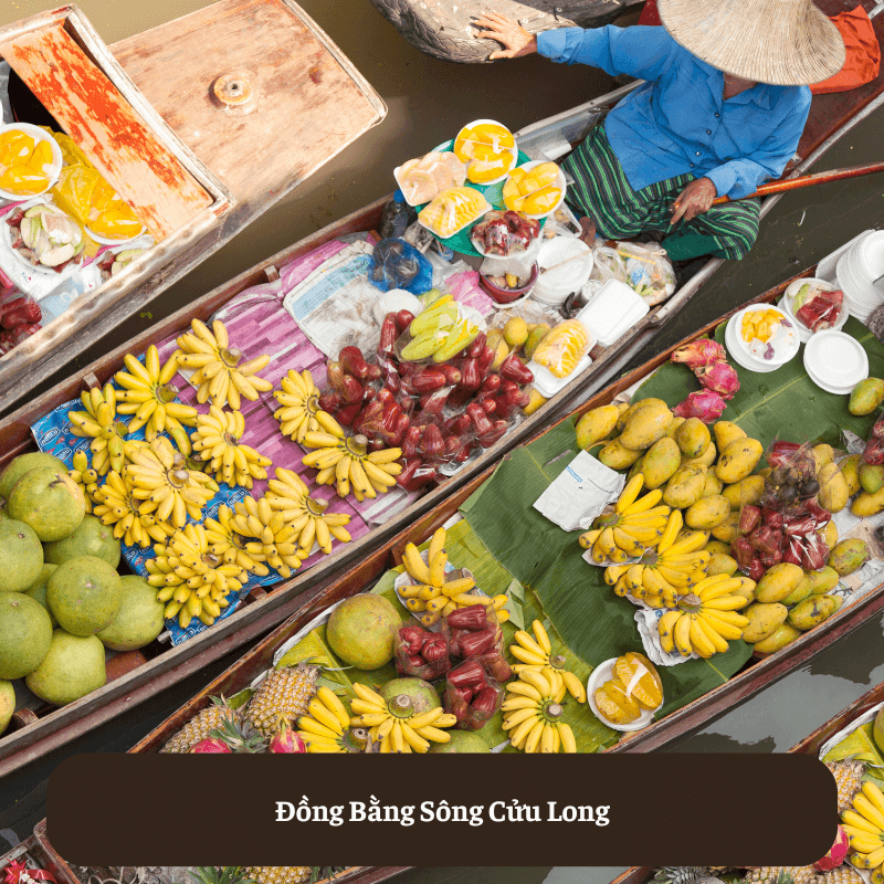 Đồng Bằng Sông Cửu Long (Tây Nam Bộ)