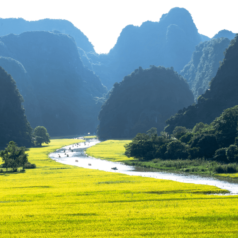 Đồng Bằng Sông Hồng: Vùng Châu Thổ Trù Phú Và Trung Tâm Kinh Tế Của Việt Nam