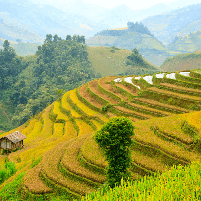 Yên Bái: "Bản Hòa Tấu" Núi Rừng Tây Bắc, Nơi Khám Phá Văn Hóa Dân Tộc Đa Sắc Màu