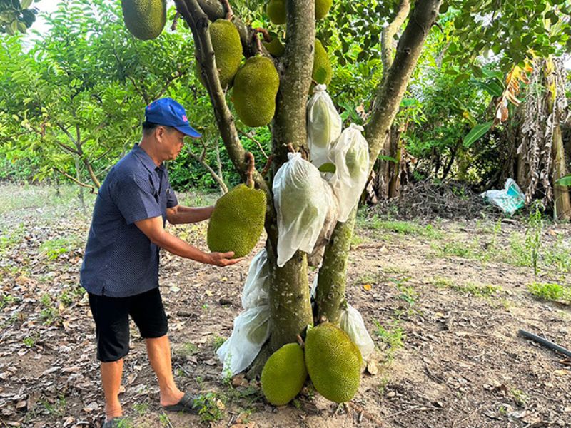 Xã Phú Hòa 1 Đắk Lắk