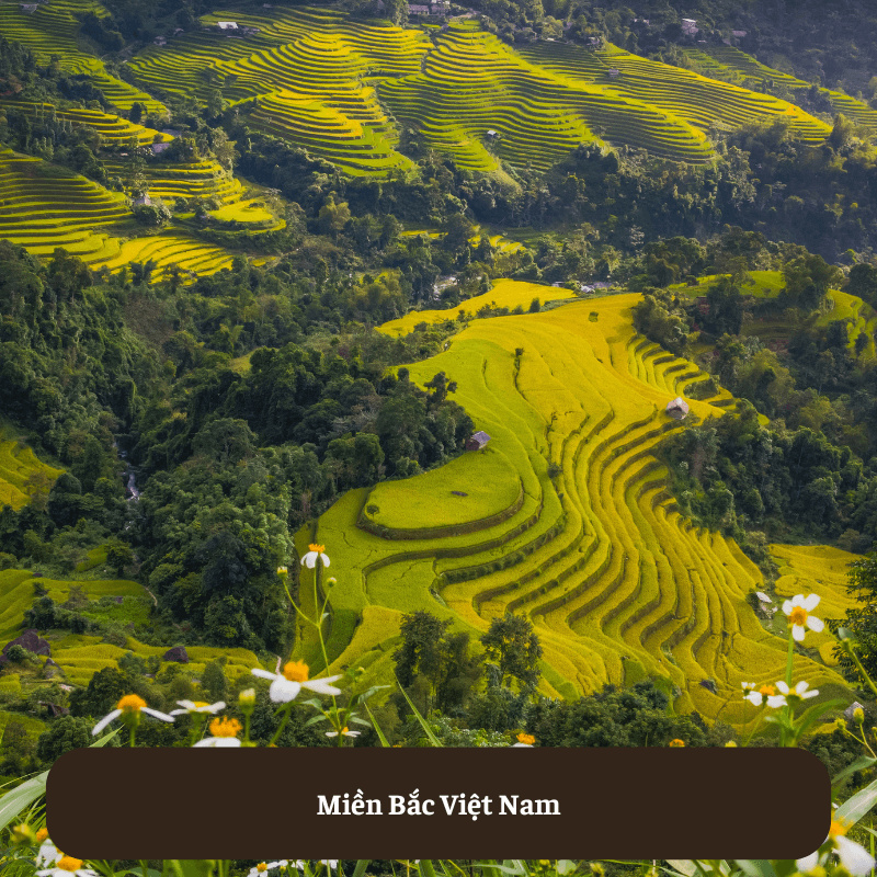 Miền Bắc Việt Nam ( Bắc Bộ)