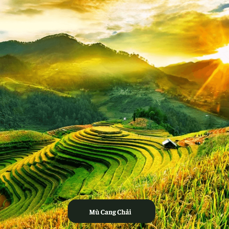 Mù Cang Chải