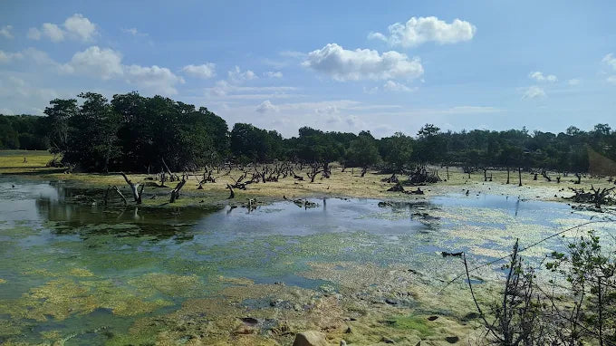 Phường Phước Thắng TPHCM