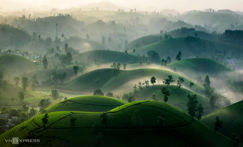 Phú Thọ: Về Miền Đất Tổ - Hành Hương Cội Nguồn, Khám Phá Danh Thắng