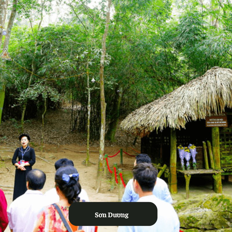 Sơn Dương