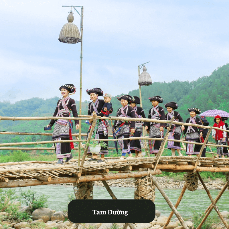 Tam Đường