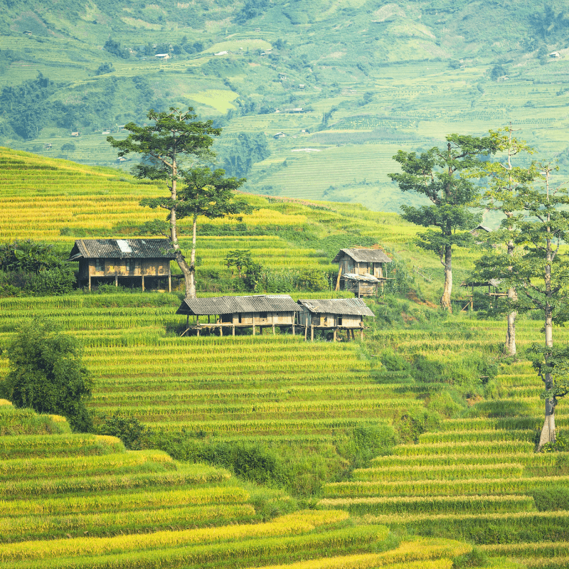 Tây Bắc Bộ – Vùng Đất Hùng Vĩ Và Đậm Đà Văn Hóa