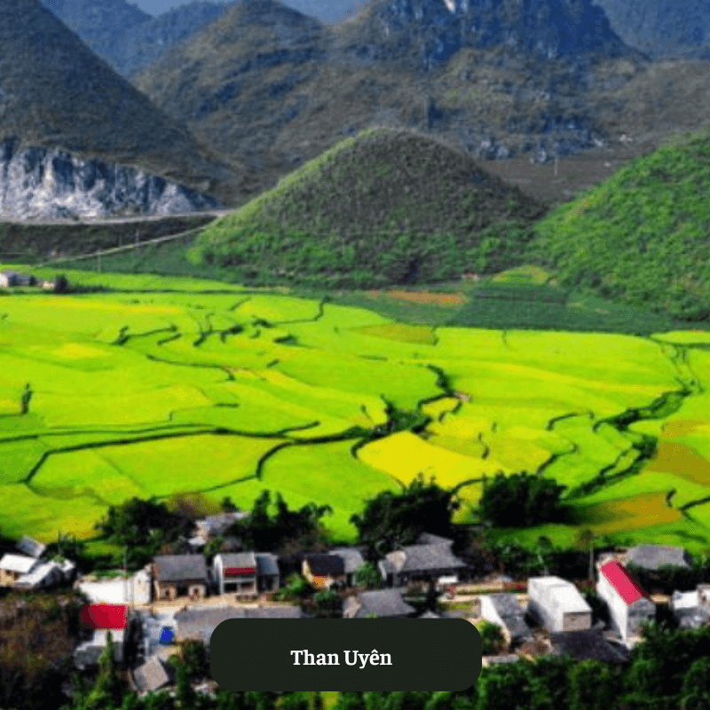 Than Uyên
