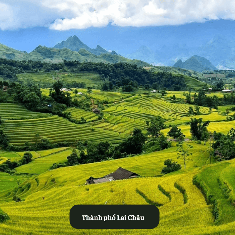 Thành phố Lai Châu