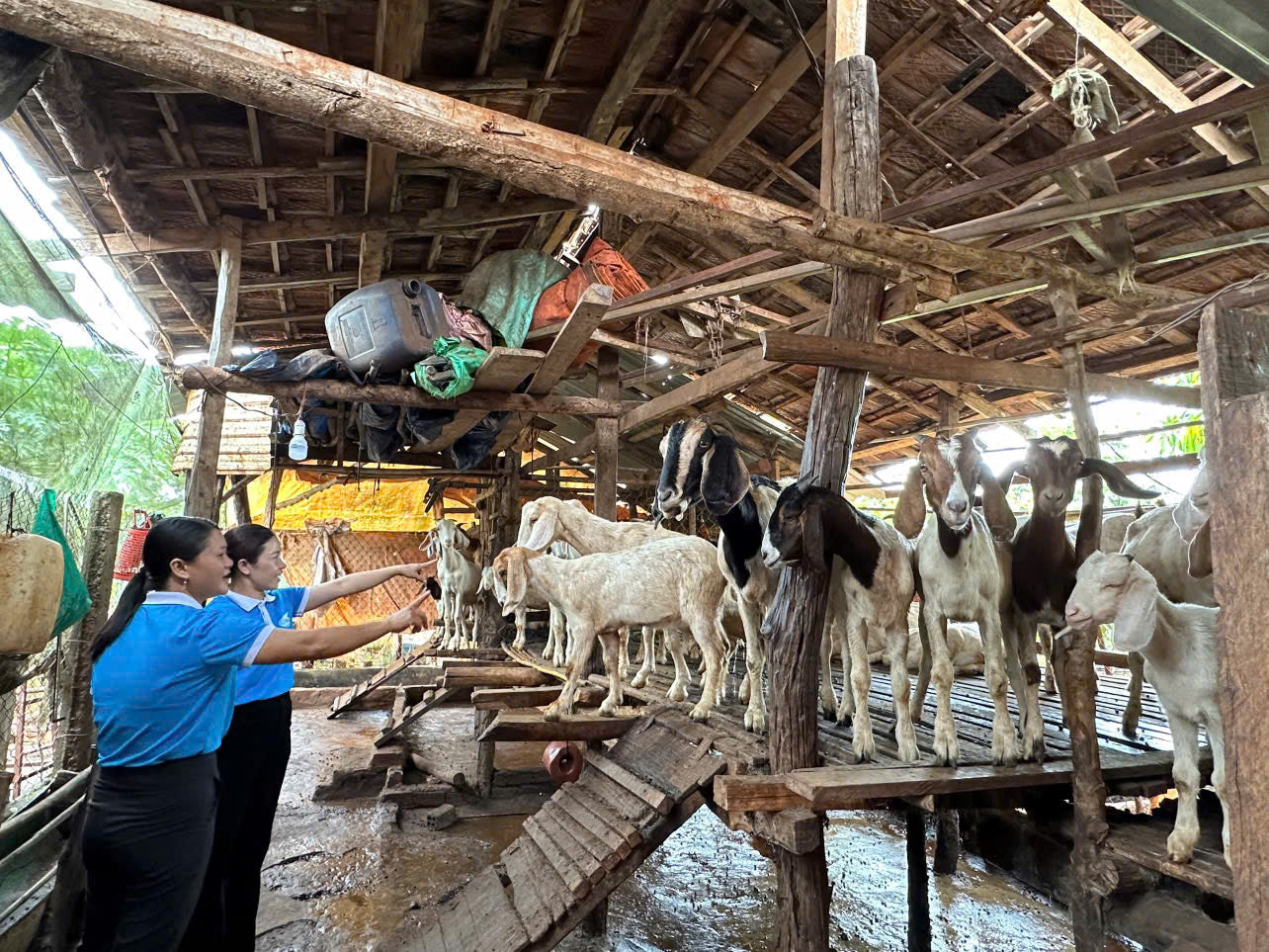 Xã Ea Kiết Đắk Lắk