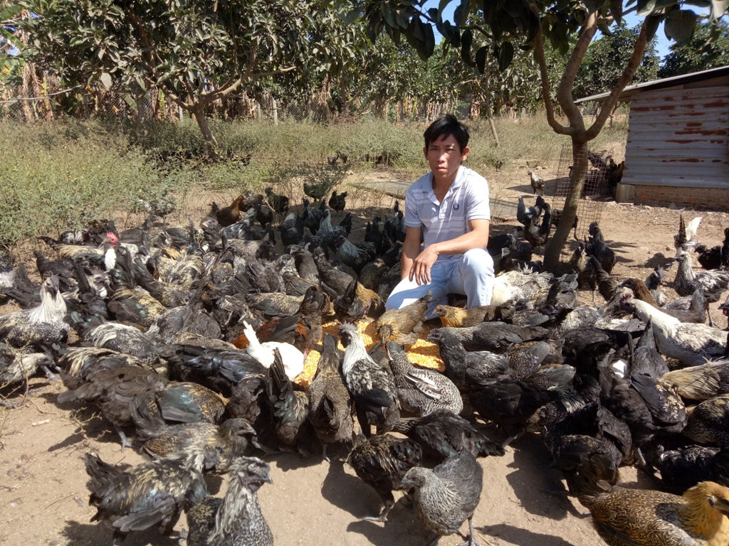 Xã Ea M’Droh Đắk Lắk