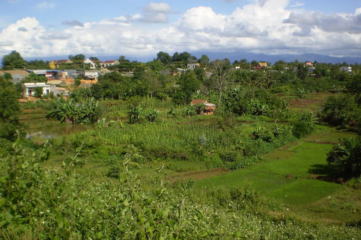 Xã Ea Ning Đắk Lắk